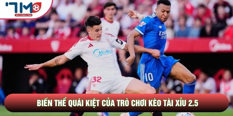 Biến thể quái kiệt của trò chơi kèo tài xỉu 2.5 Biến thể quái kiệt của trò chơi kèo tài xỉu 2.5