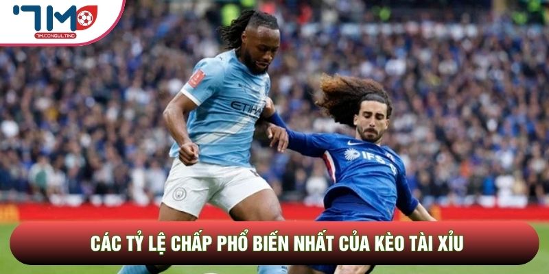 Các tỷ lệ chấp phổ biến nhất của kèo tài xỉu Các tỷ lệ chấp phổ biến nhất của kèo tài xỉu