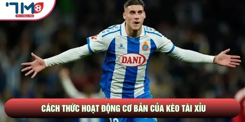 Cách thức hoạt động cơ bản của kèo tài xỉu Cách thức hoạt động cơ bản của kèo tài xỉu