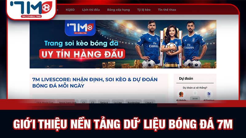 Tổng quan về hệ thống dữ liệu bóng đá toàn diện tại 7M Tổng quan về hệ thống dữ liệu bóng đá toàn diện tại 7M