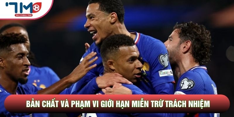 Bản chất và phạm vi giới hạn miễn trừ trách nhiệm Bản chất và phạm vi giới hạn miễn trừ trách nhiệm