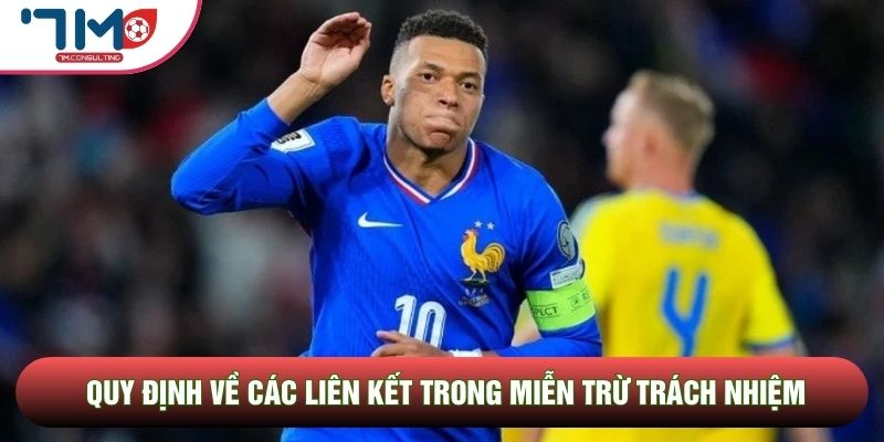 Quy định về các liên kết trong miễn trừ trách nhiệm Quy định về các liên kết trong miễn trừ trách nhiệm