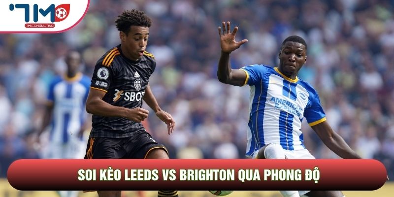 Soi Kèo Leeds Vs Brighton, 21h00 Ngày 17/05 - Vòng 37 Ngoại Hạng Anh 1 Soi kèo Leeds vs Brighton qua phong độ