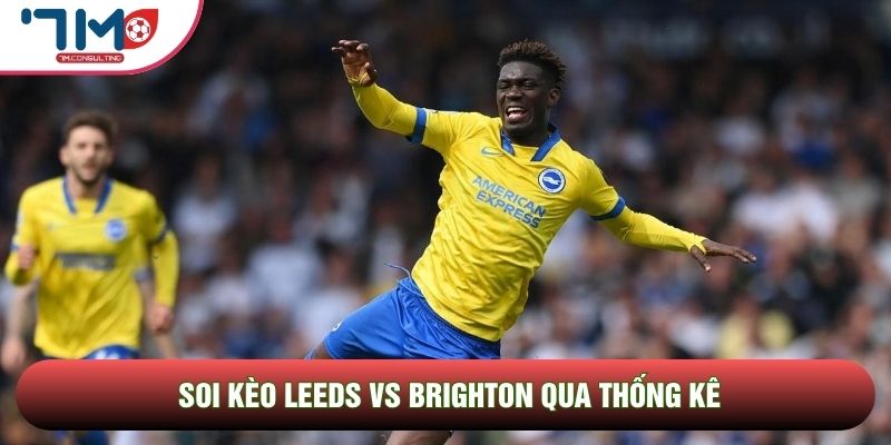 Soi Kèo Leeds Vs Brighton, 21h00 Ngày 17/05 - Vòng 37 Ngoại Hạng Anh 3 Soi kèo Leeds vs Brighton có sự chênh lệch