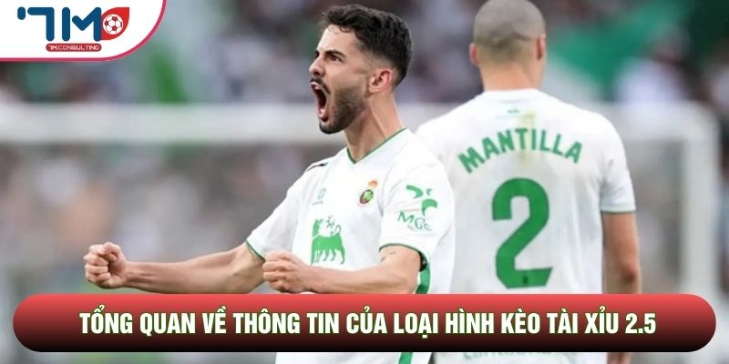 Tổng quan về thông tin của loại hình kèo tài xỉu 2.5 Tổng quan về thông tin của loại hình kèo tài xỉu 2.5